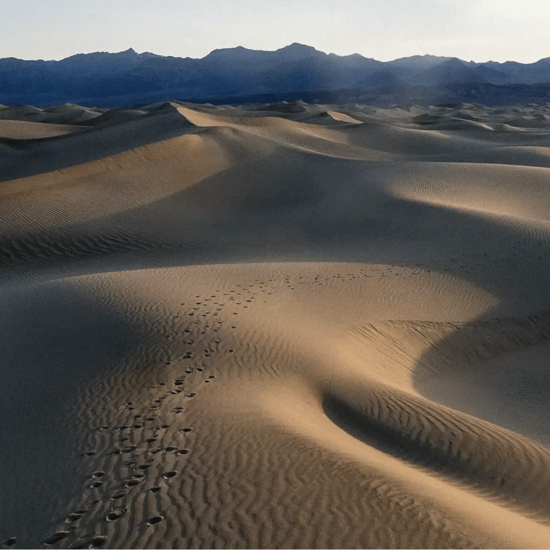 Still from INTO THE DESERT